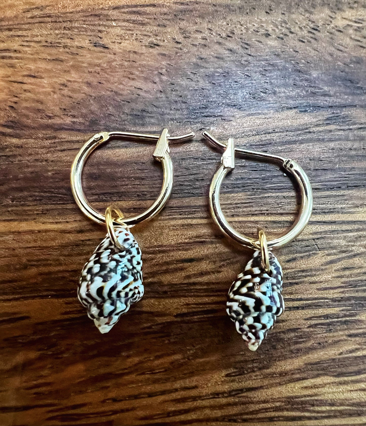 Shell Tiny Hoops