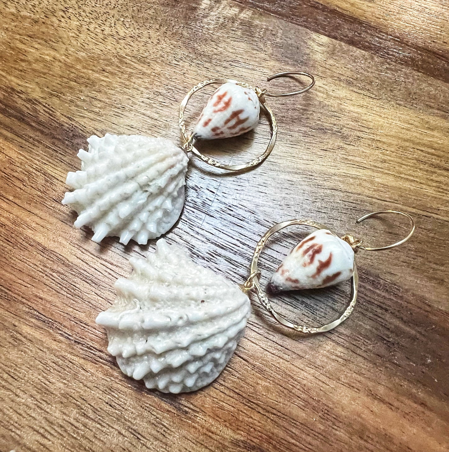 Jewel Box Shell & Sponsal Cone Shell Hoops