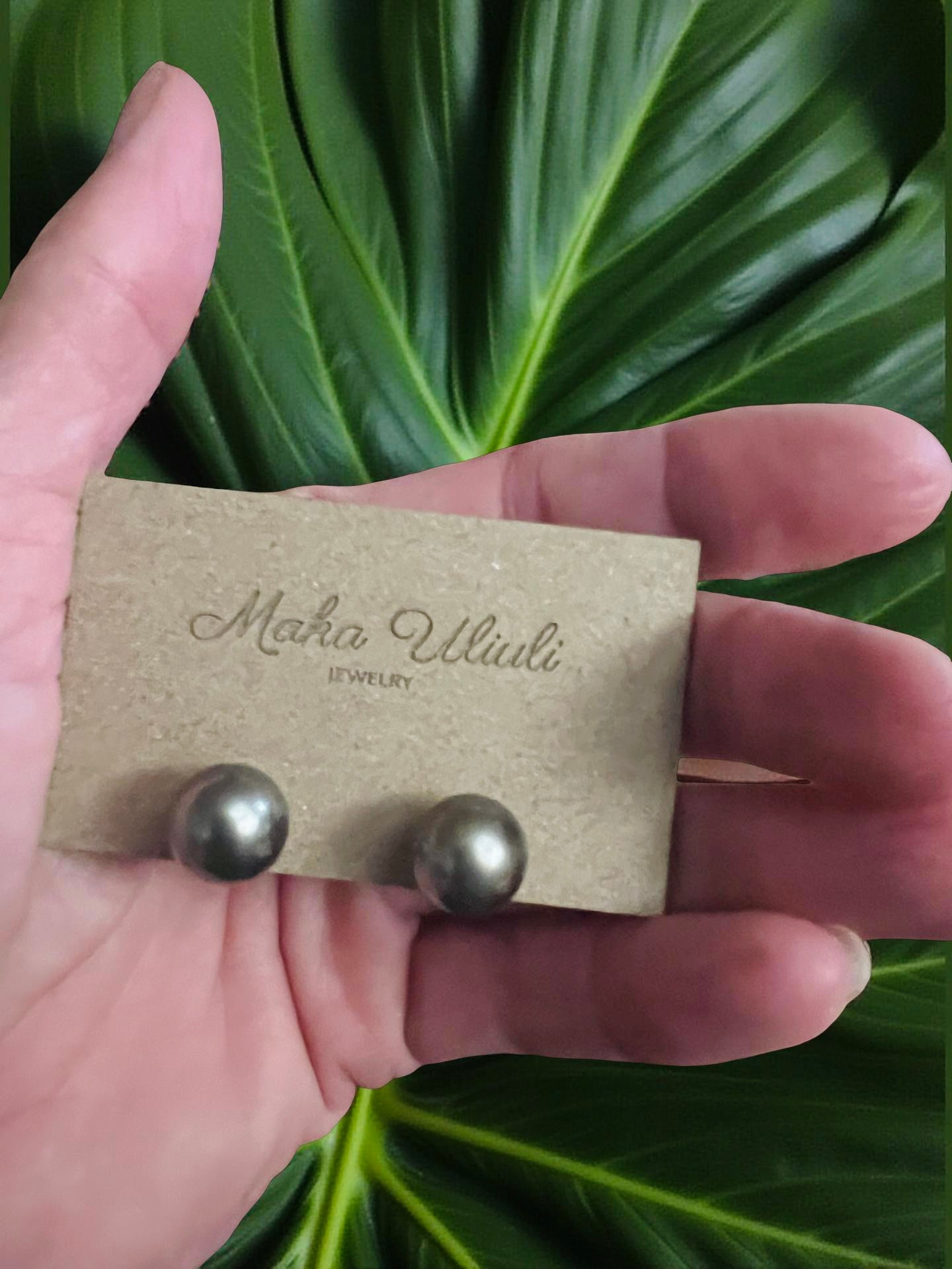 Tahitian Pearl Stud Earrings - 13mm