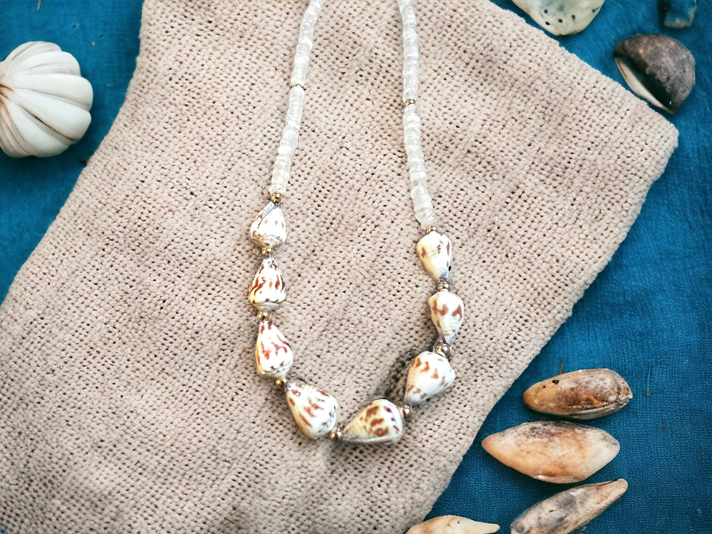 Sponsal Cone Shell Moonstone Necklace