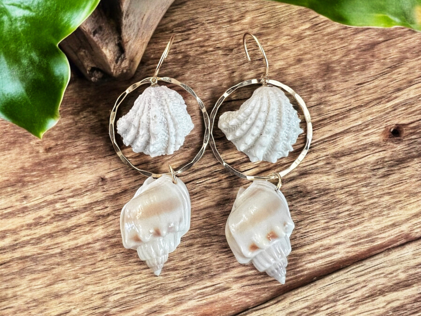 Jewel Box Shell & Nassa Shell Hoops
