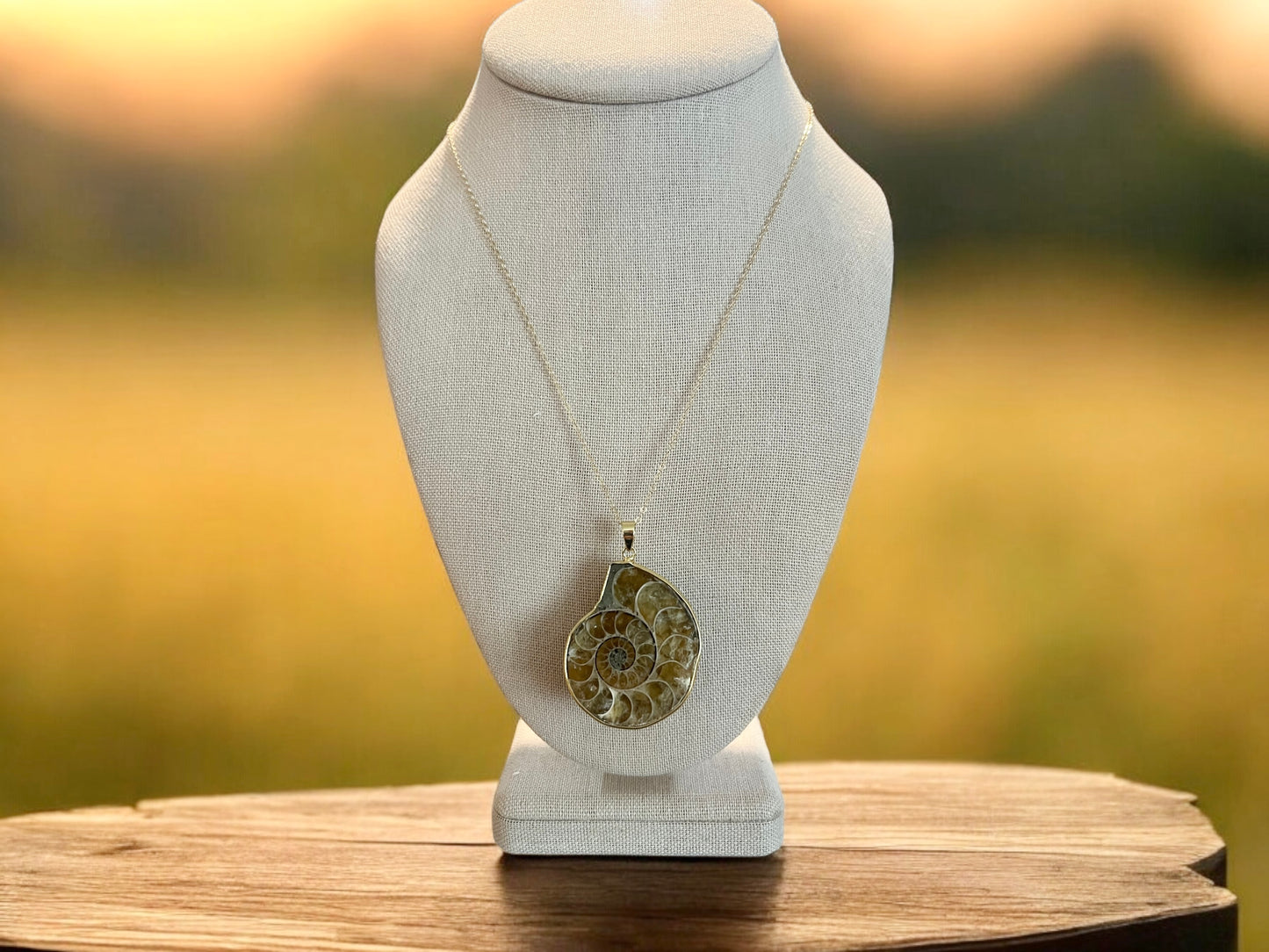Ammonite Chain Necklace