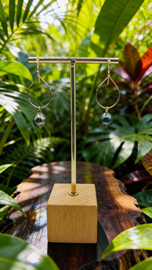 Kailua Hoop Earrings