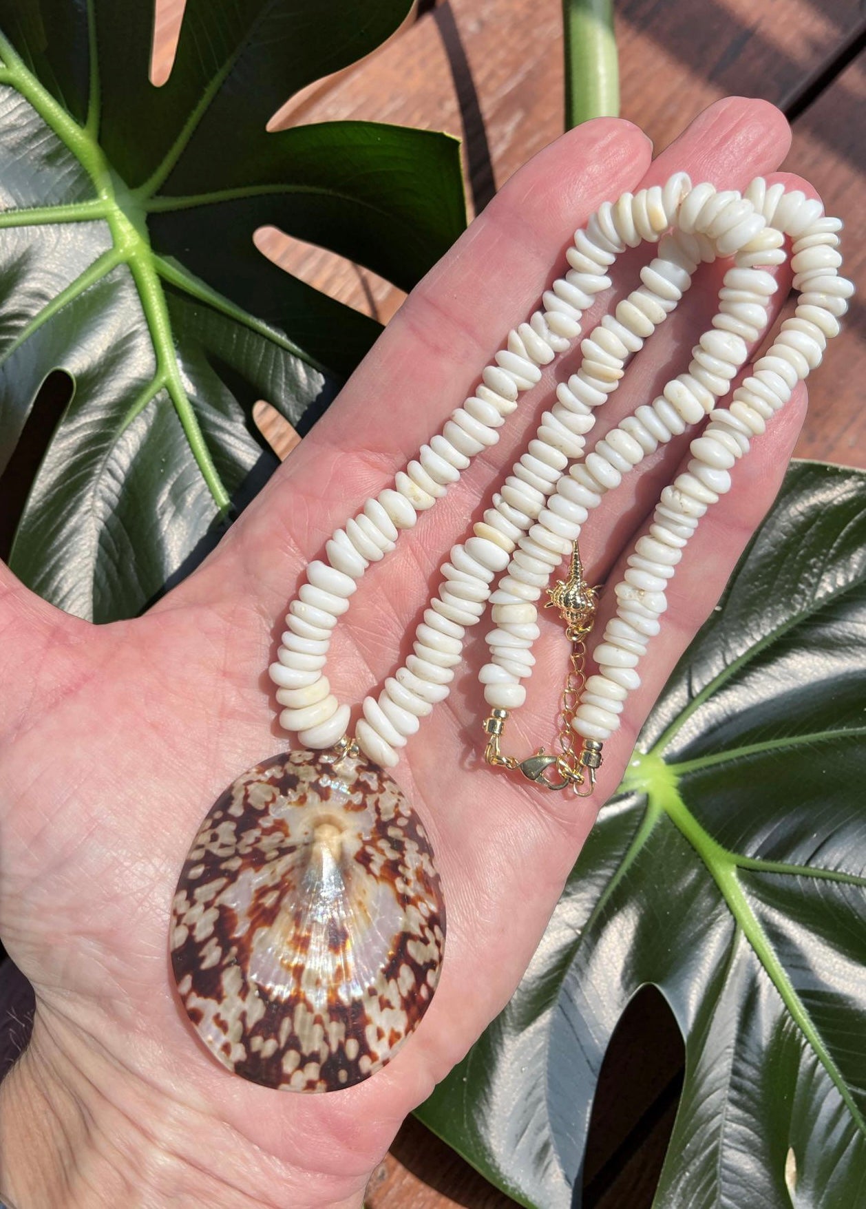 ‘Opihi Puka Shell Necklace