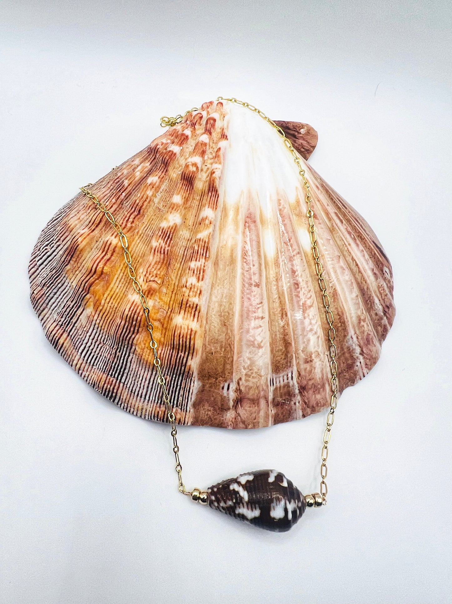 Cat Cone Shell Chain Necklace