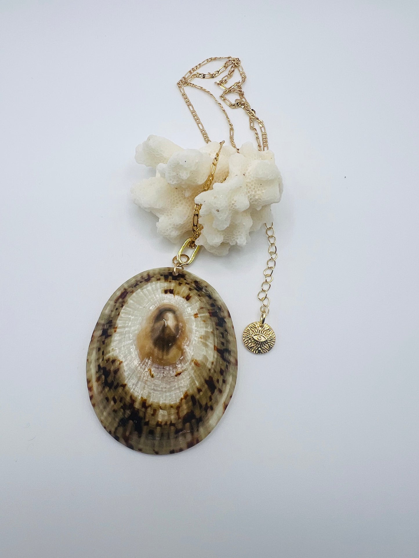 Golden ‘Opihi Chain  Necklace