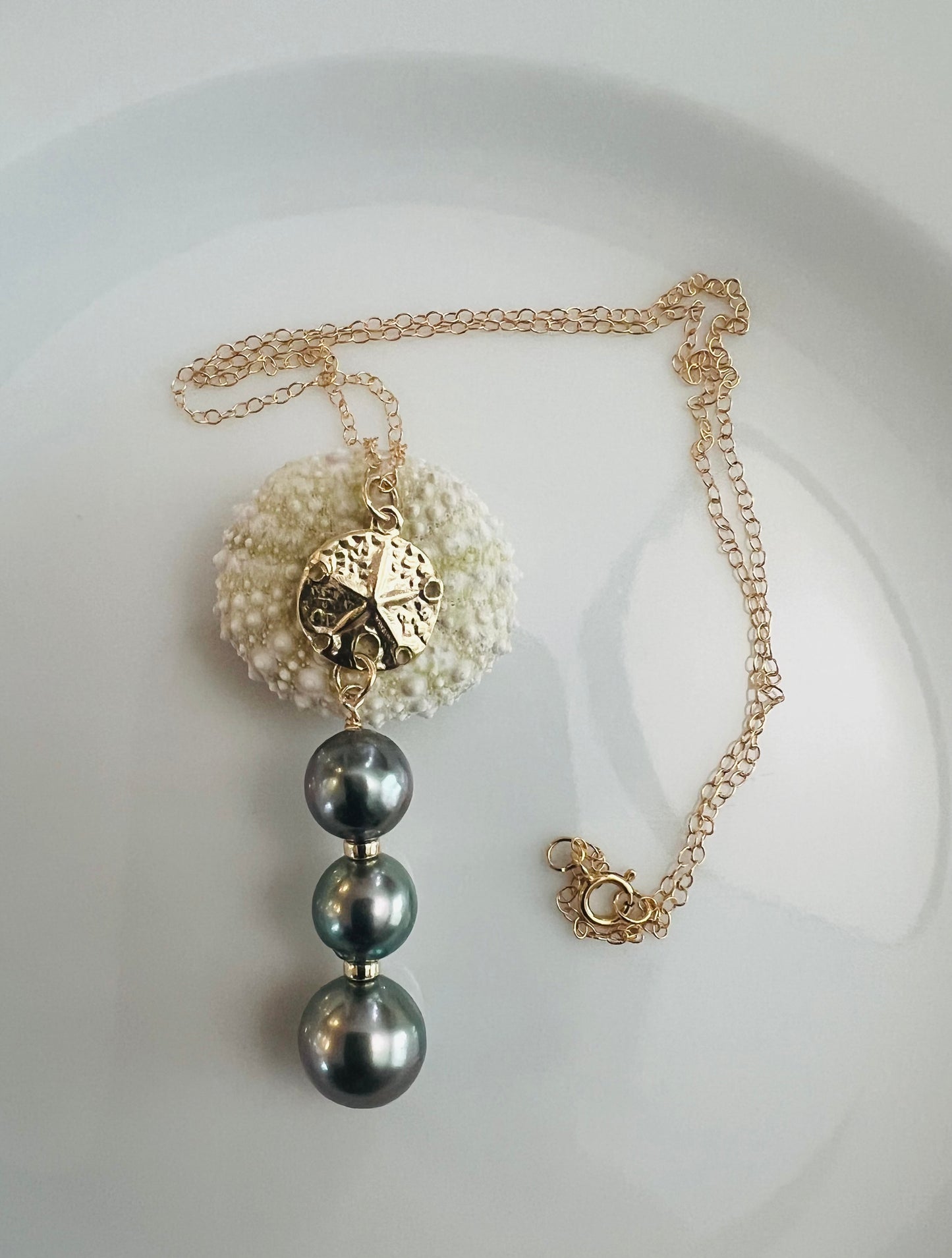 Sand Dollar Pendant Necklace