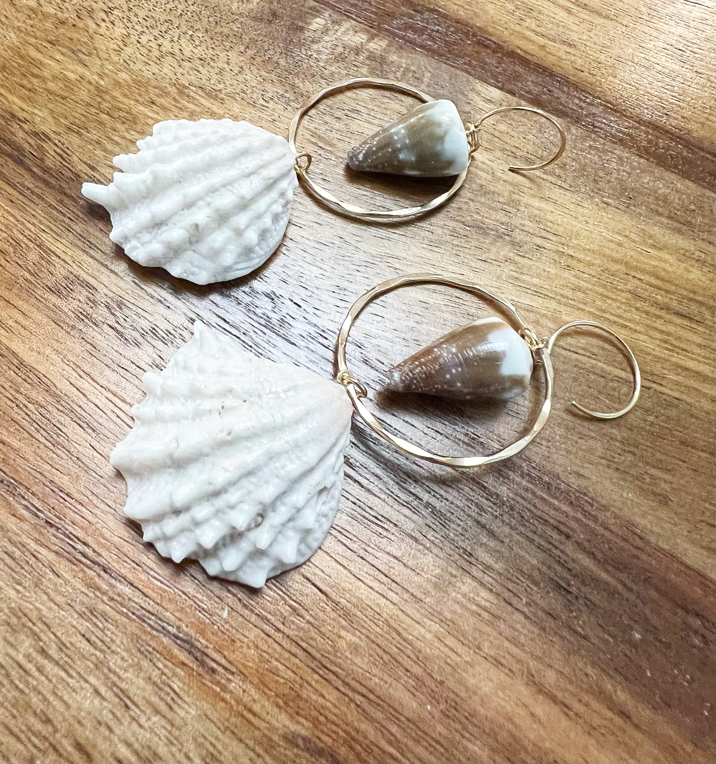 Jewel Box Shell & Rat Cone Shell Hoops