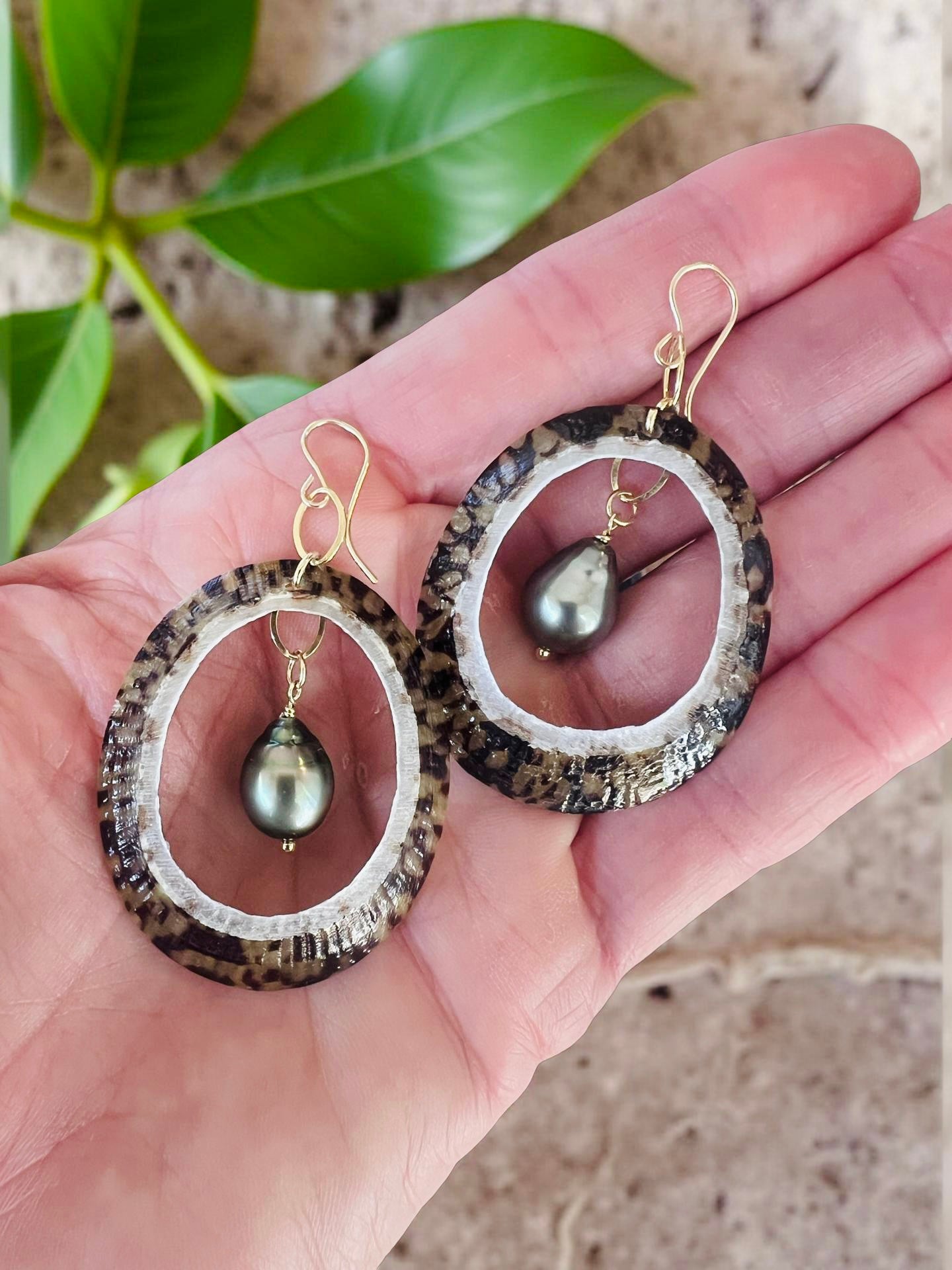 Tahitian ‘Opihi Earrings