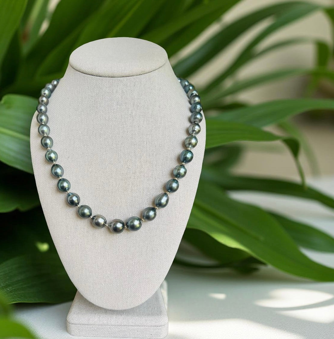 Simplicity Strand