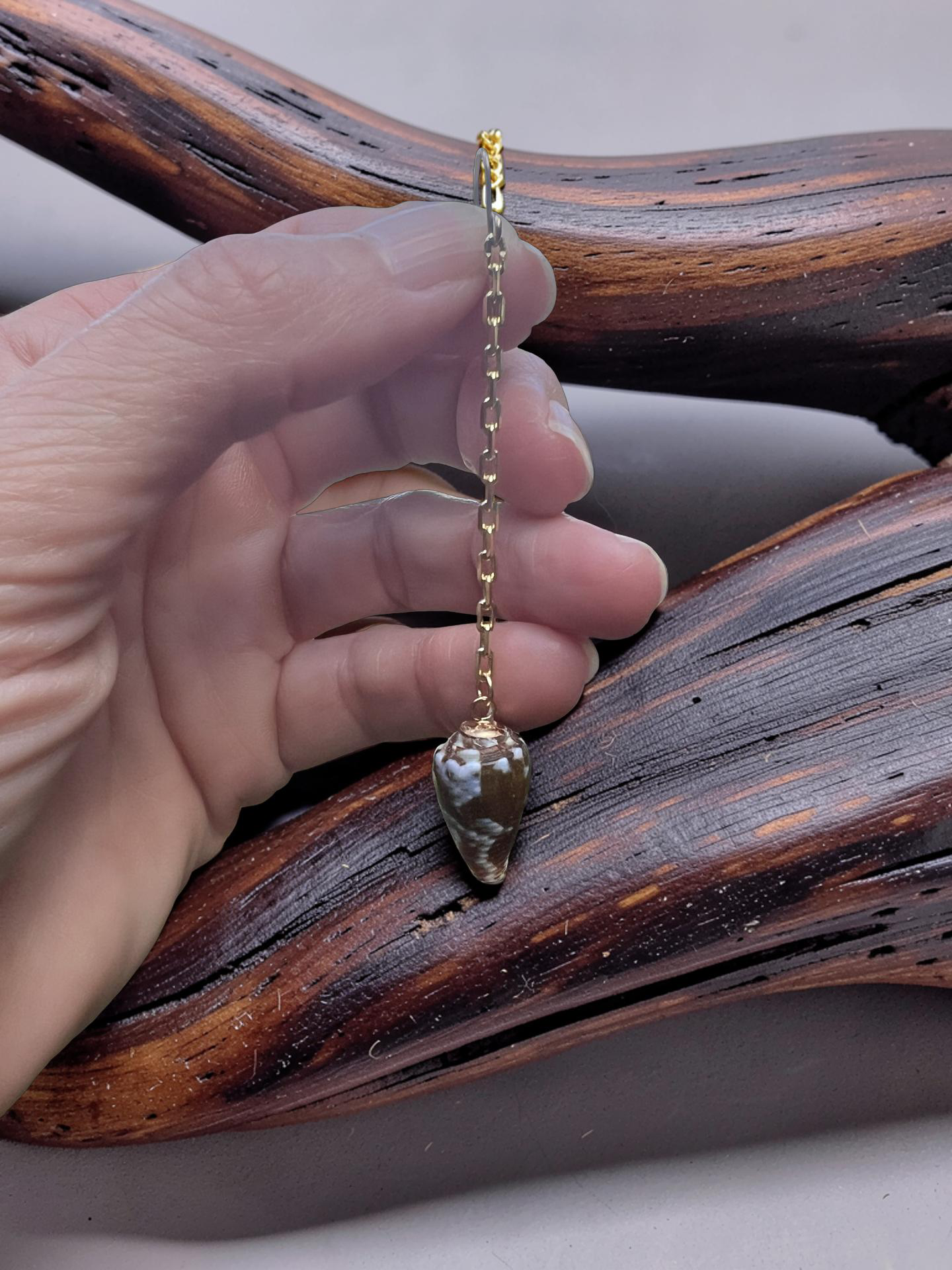 Cone Shell Chain Earrings