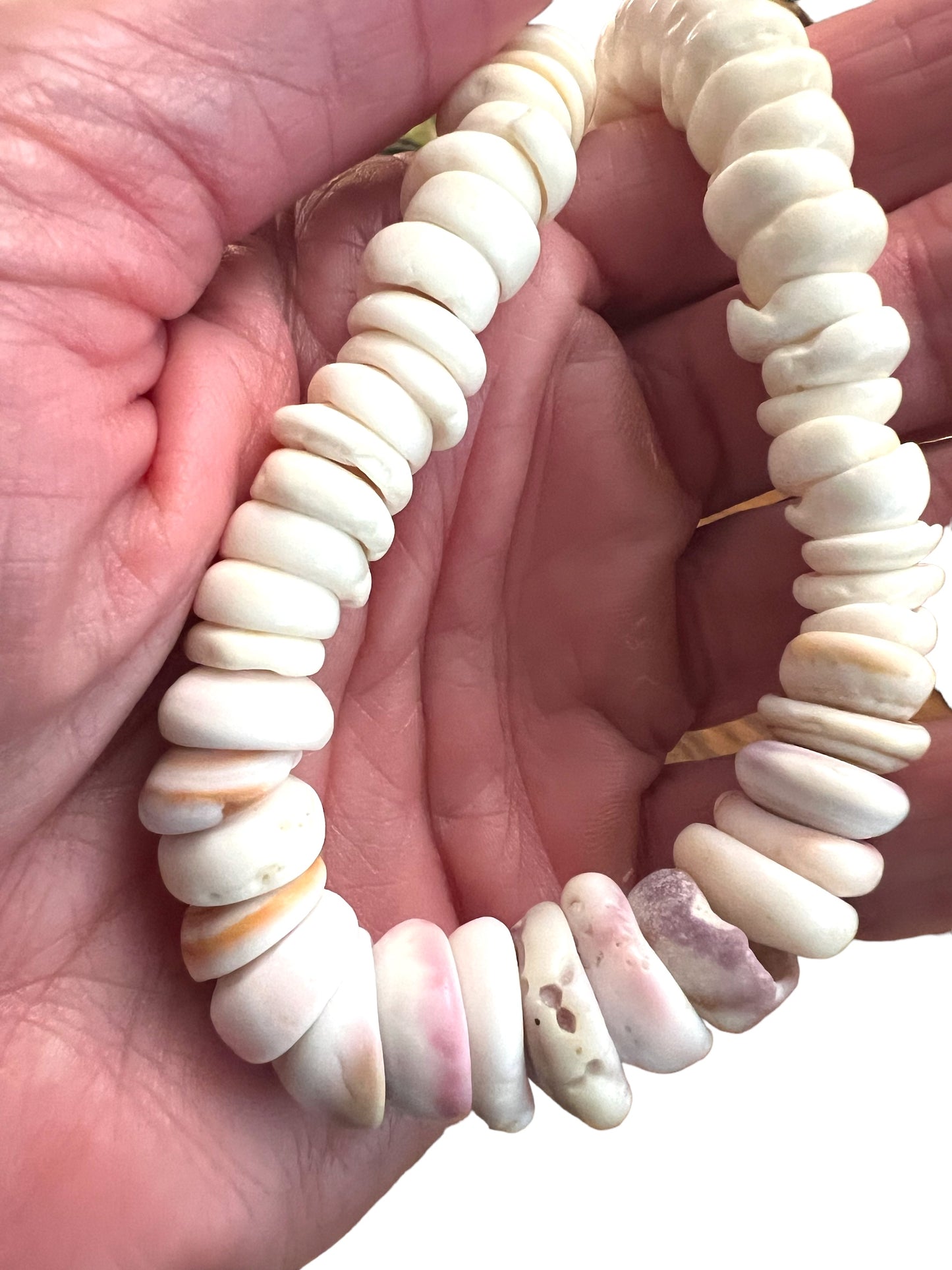 Pastel Puka Shell Necklace