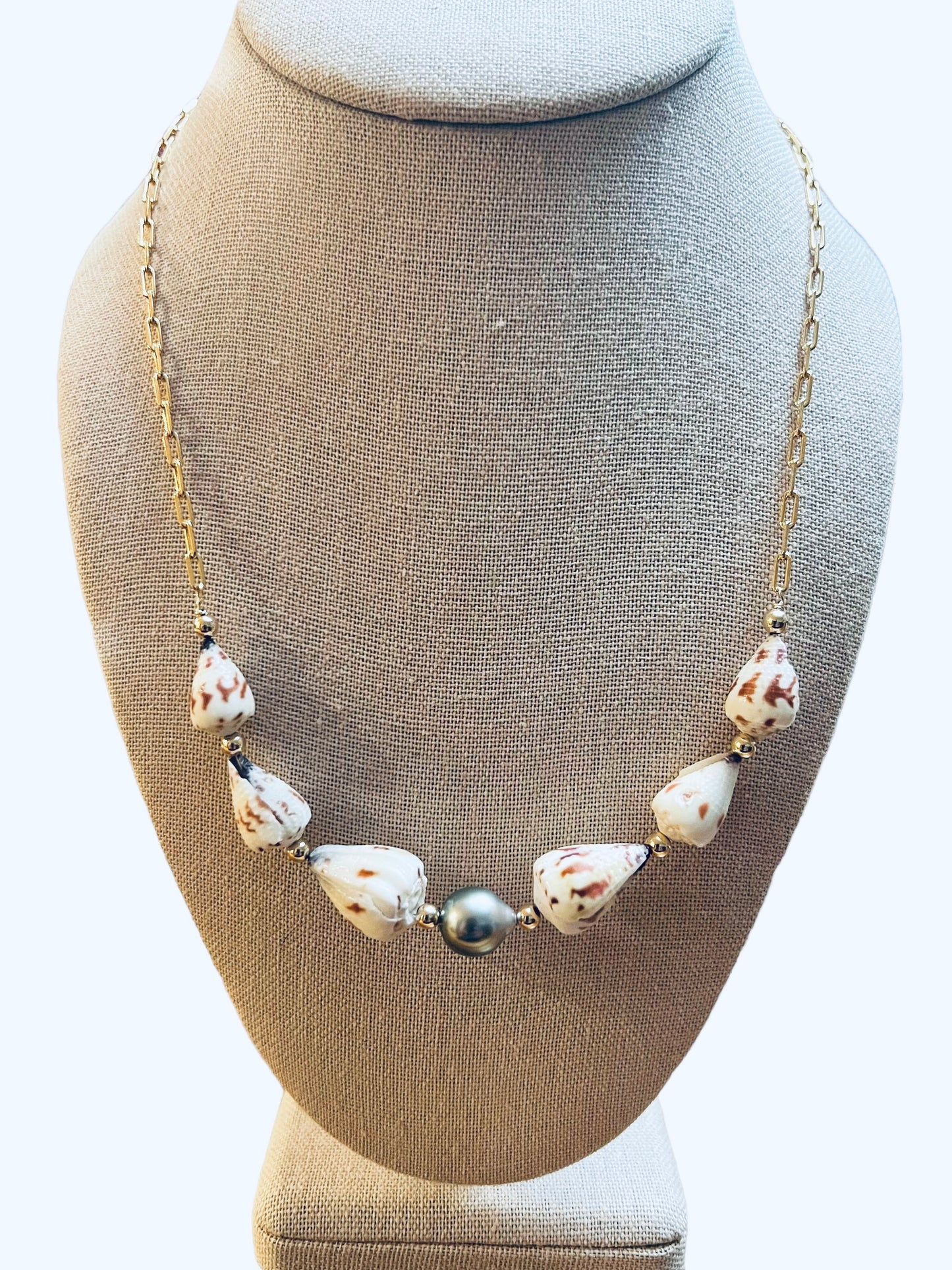 Sponsal Cone Shell Chain Necklace