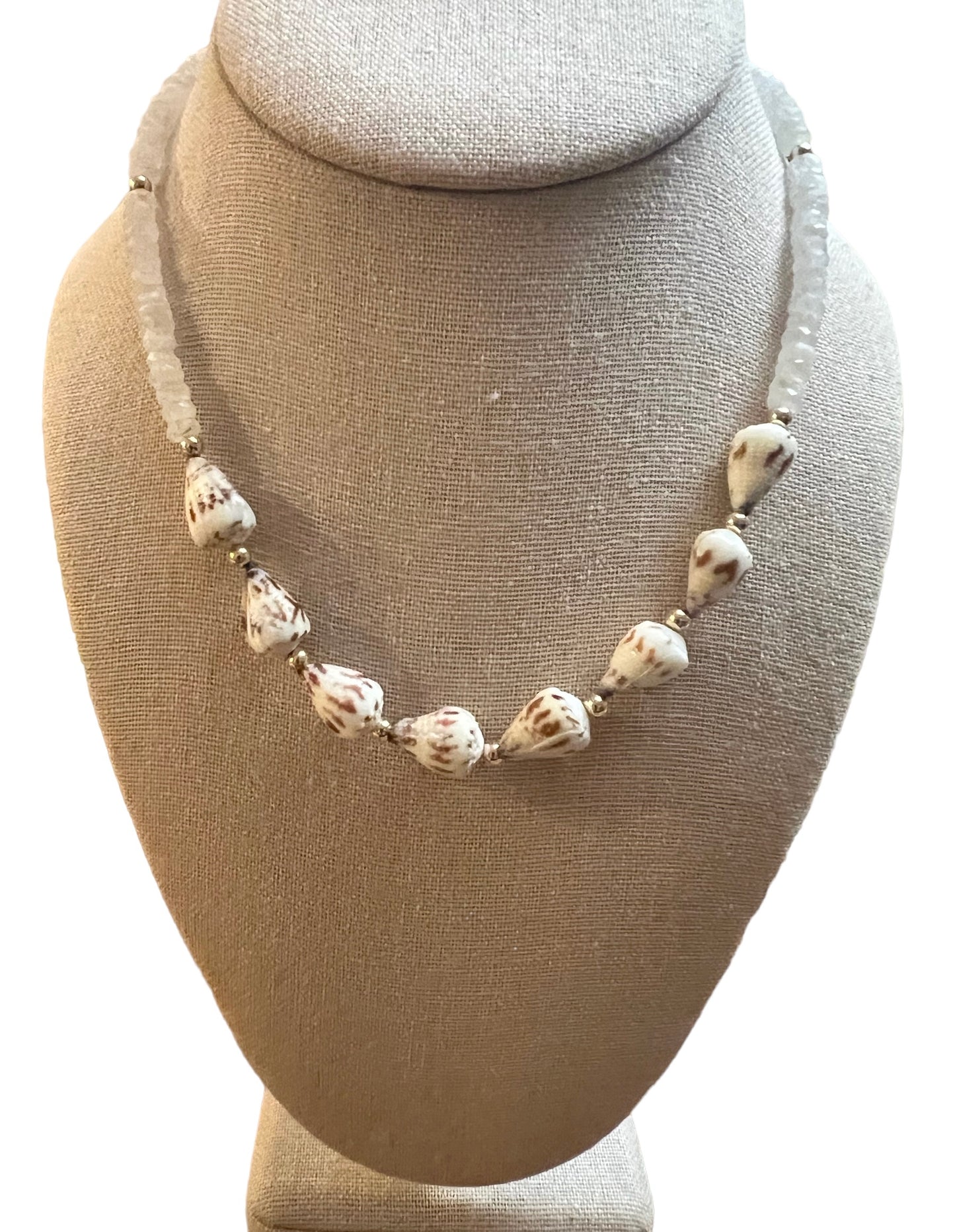 Sponsal Cone Shell Moonstone Necklace