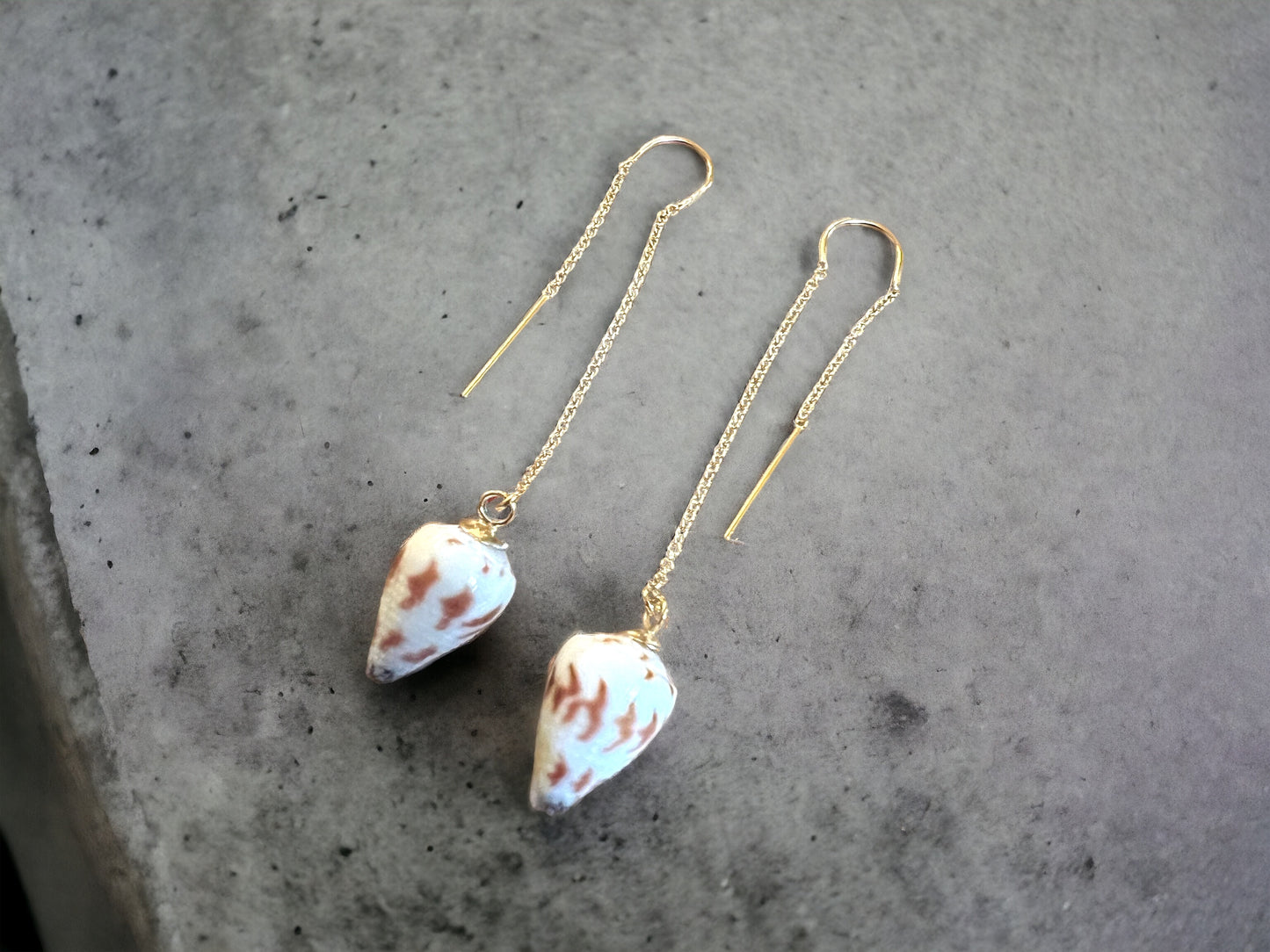 Sponsal Cone Shell Threaders