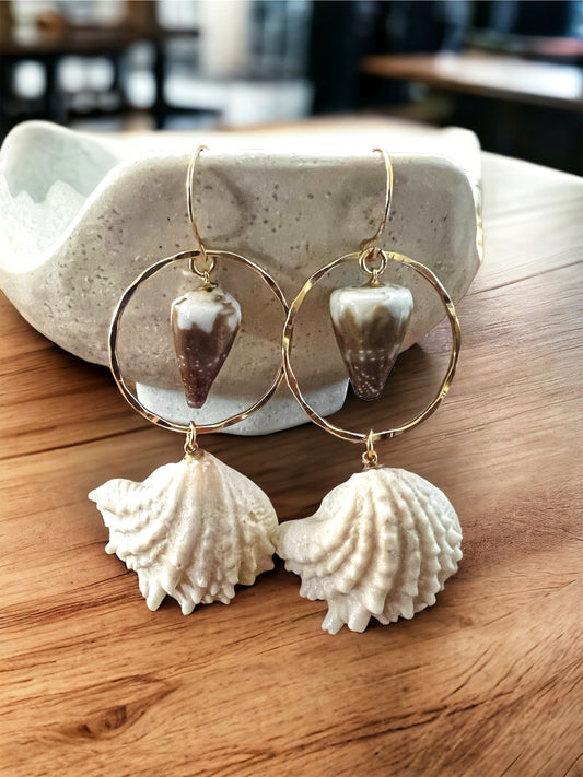 Jewel Box Shell & Rat Cone Shell Hoops