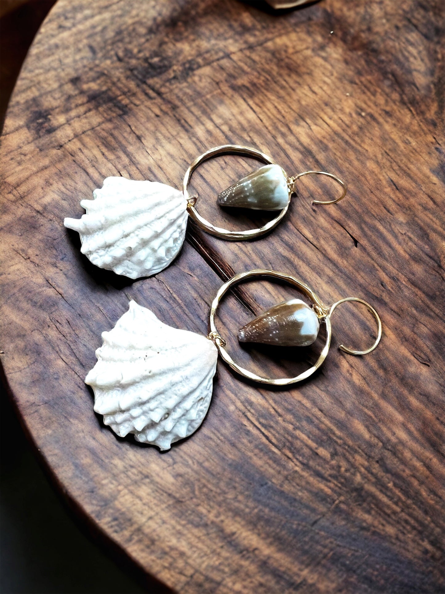 Jewel Box Shell & Rat Cone Shell Hoops