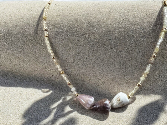 Mixed Cone Shell & Golden Rutile Choker Necklace