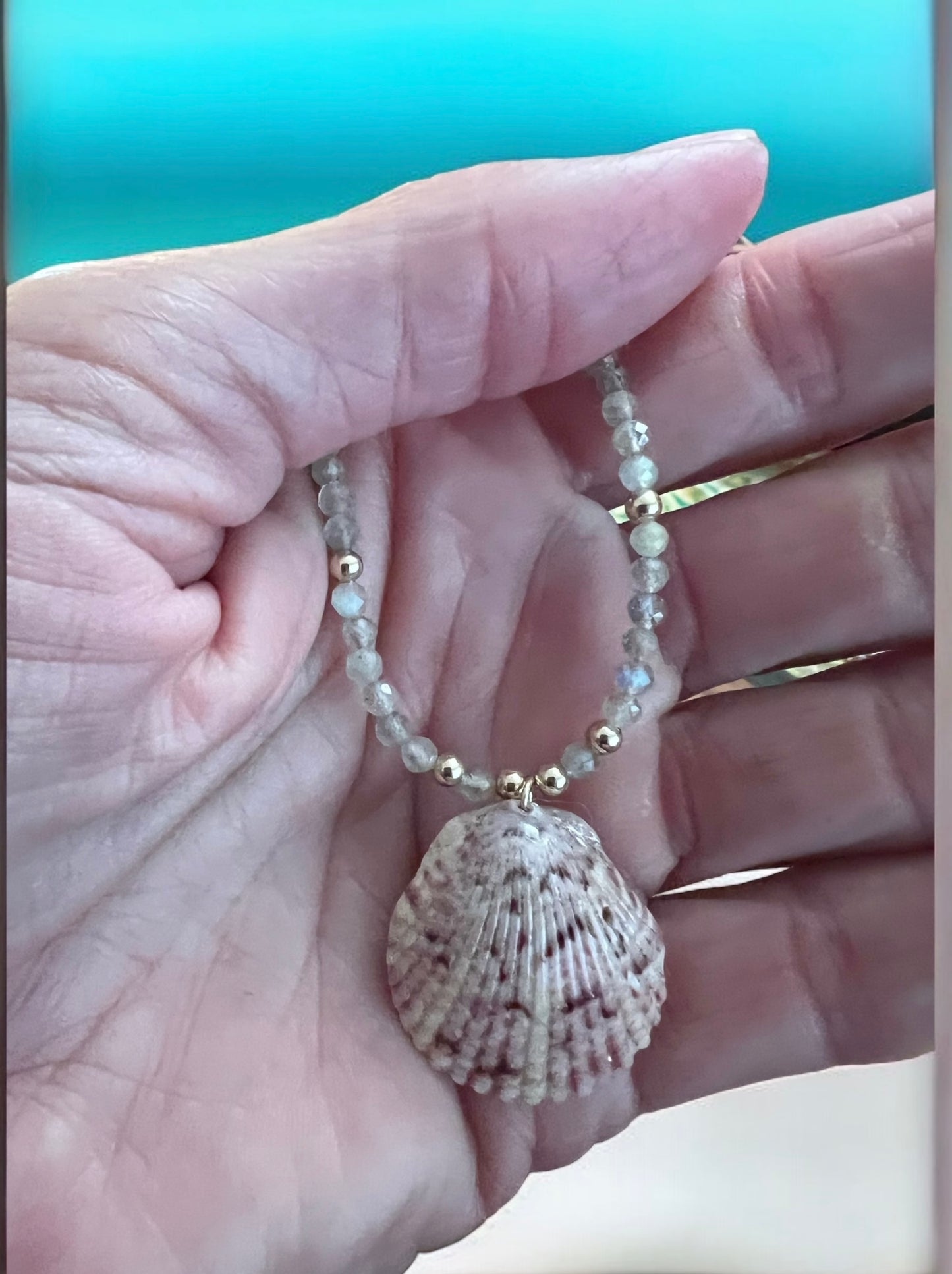 Scallop Shell & Labradorite Choker Necklace