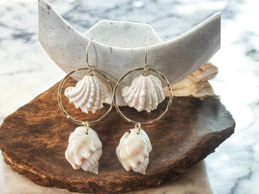 Jewel Box Shell & Nassa Shell Hoops