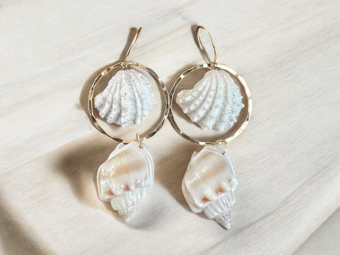 Jewel Box Shell & Nassa Shell Hoops