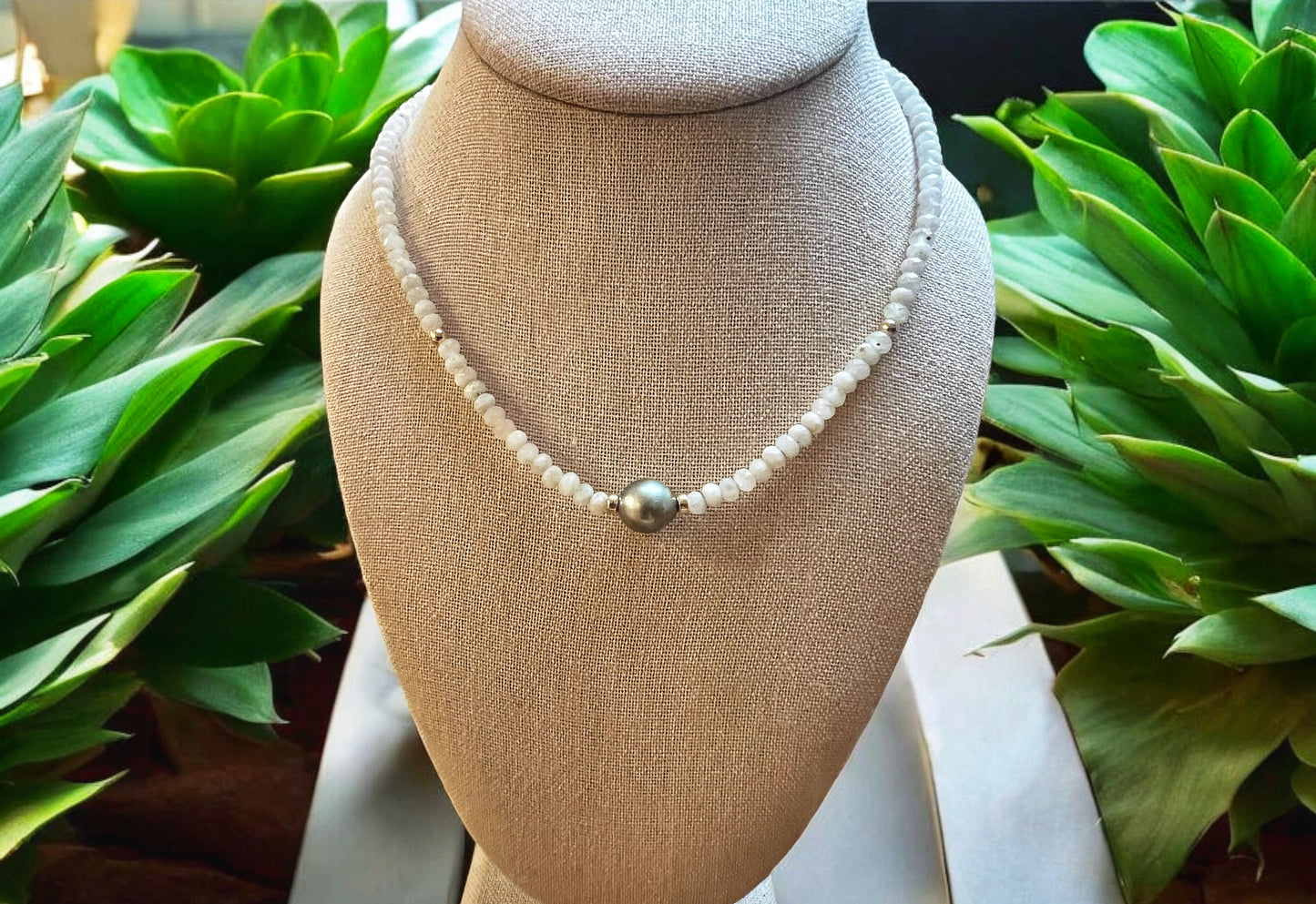 Moonstone Tahitian  Solitaire Necklace