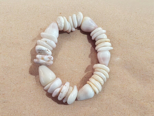 Dwarf Cone Shell &  Puka Shell Bracelet