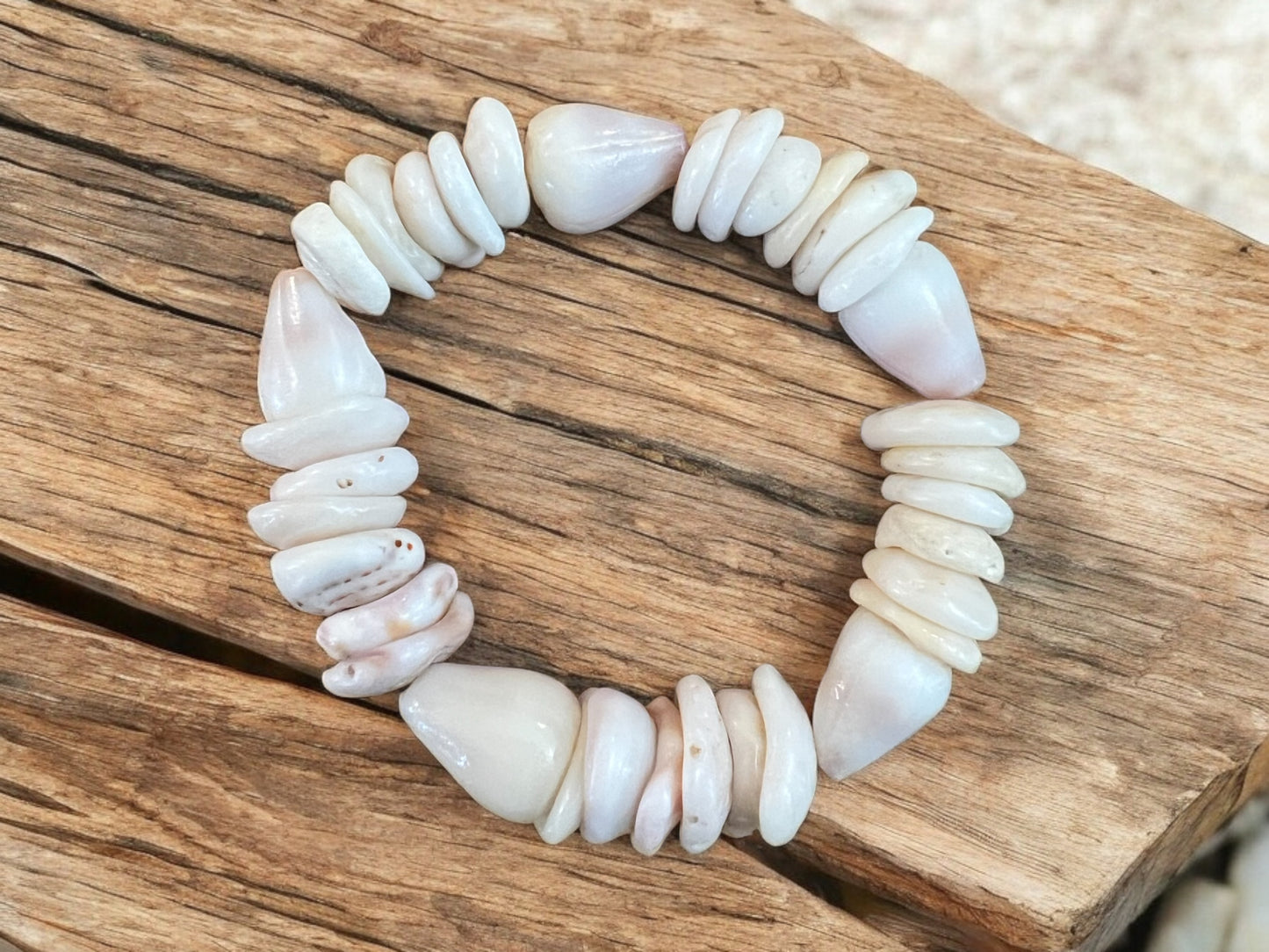 Dwarf Cone Shell &  Puka Shell Bracelet