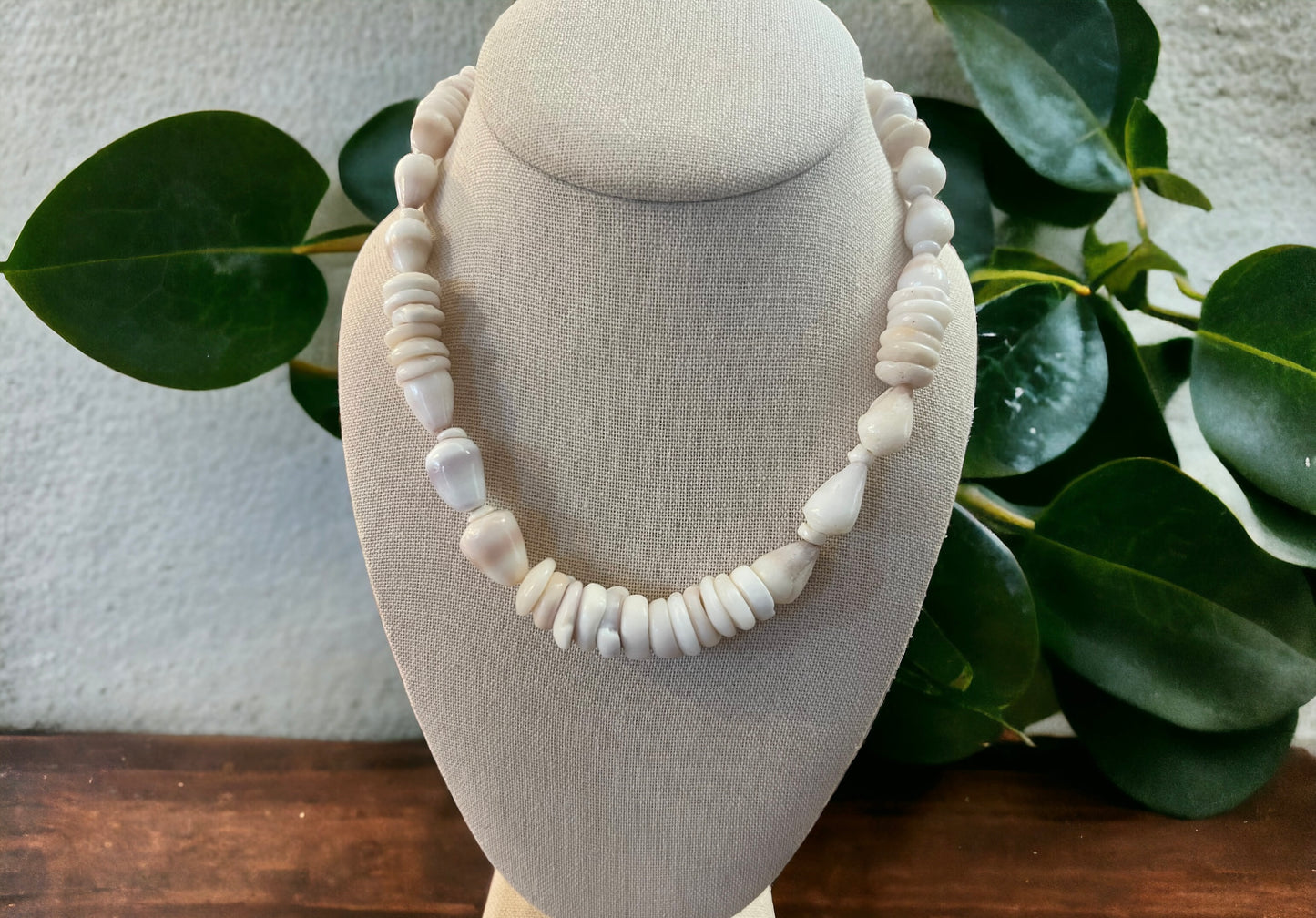 Dwarf Cone Shell & Puka Shell Necklace