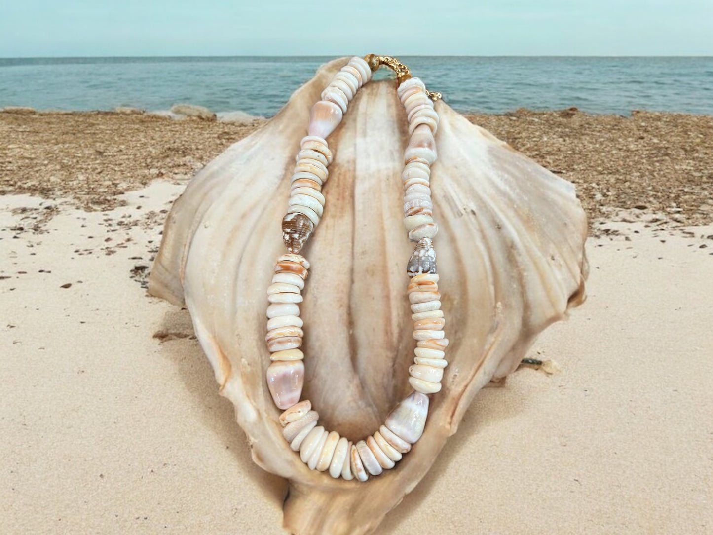 Mixed Cone Shell & Puka Shell Necklace