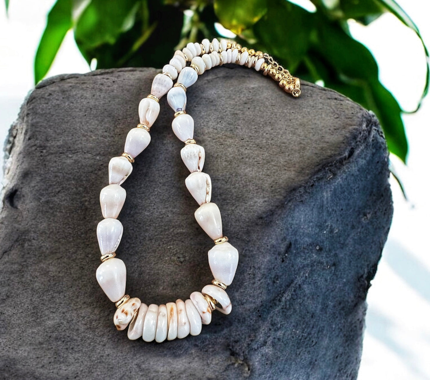 Dwarf Cone & Puka Shell Gold Necklace