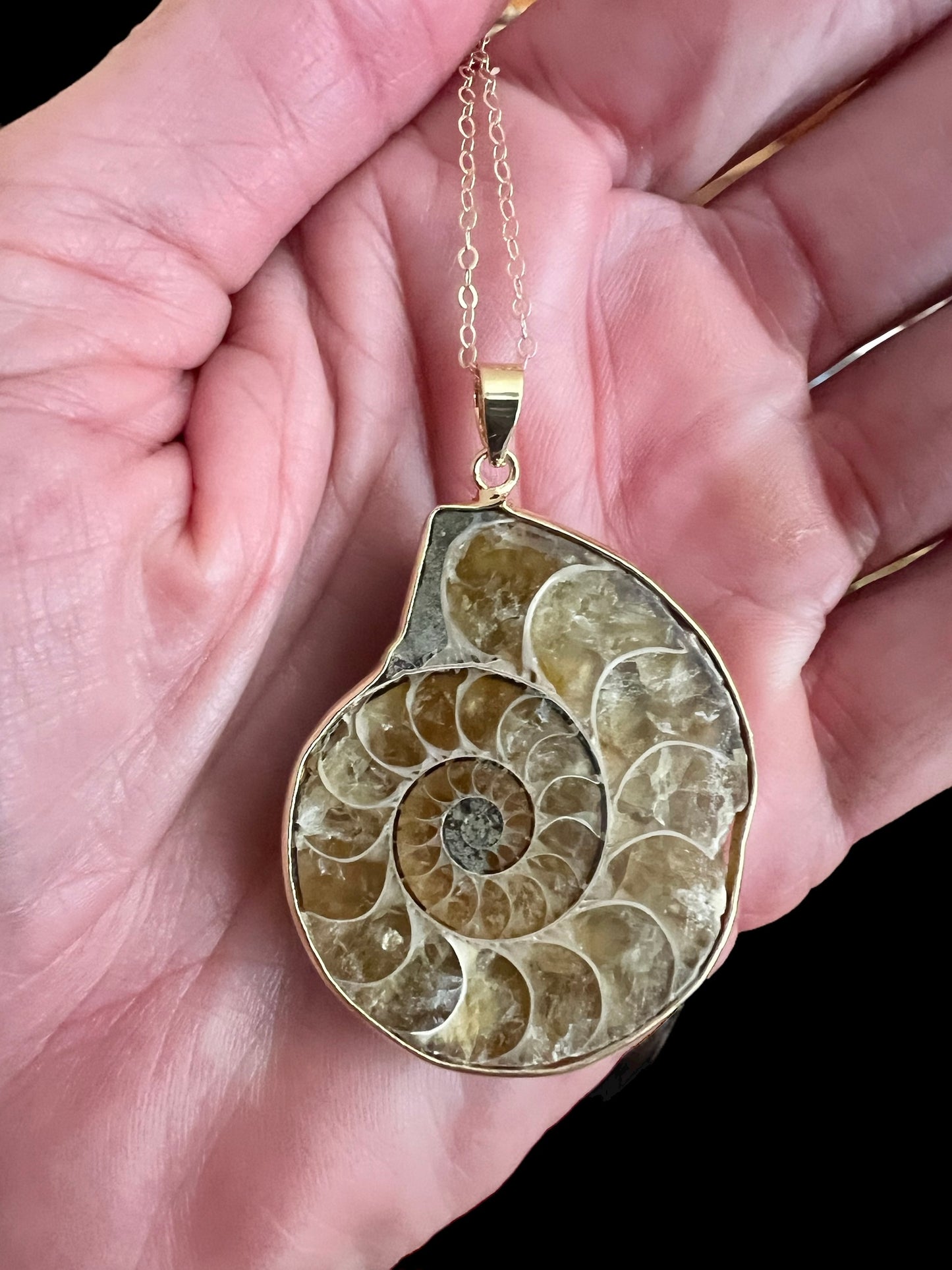 Ammonite Chain Necklace