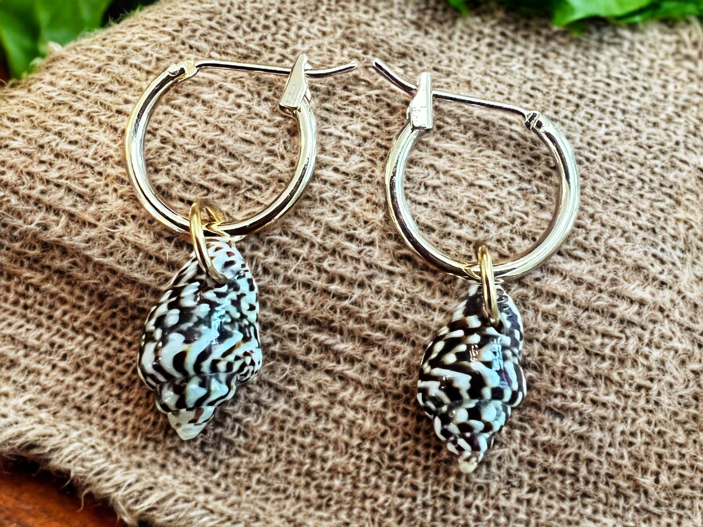 Shell Tiny Hoops
