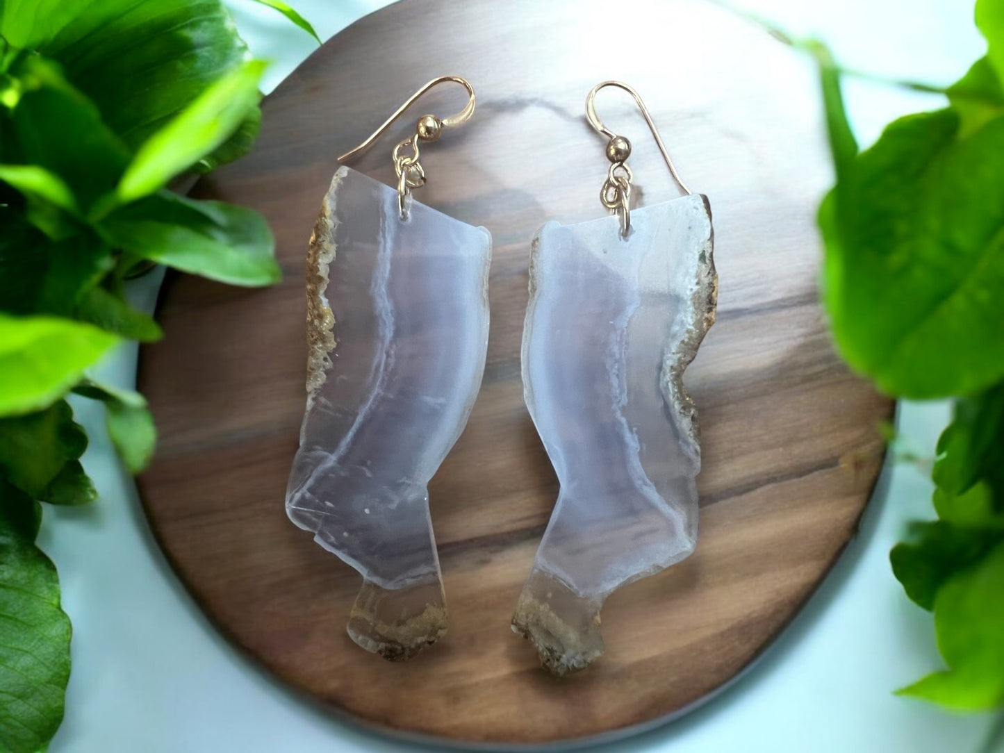 Lace Agate Slice Earrings