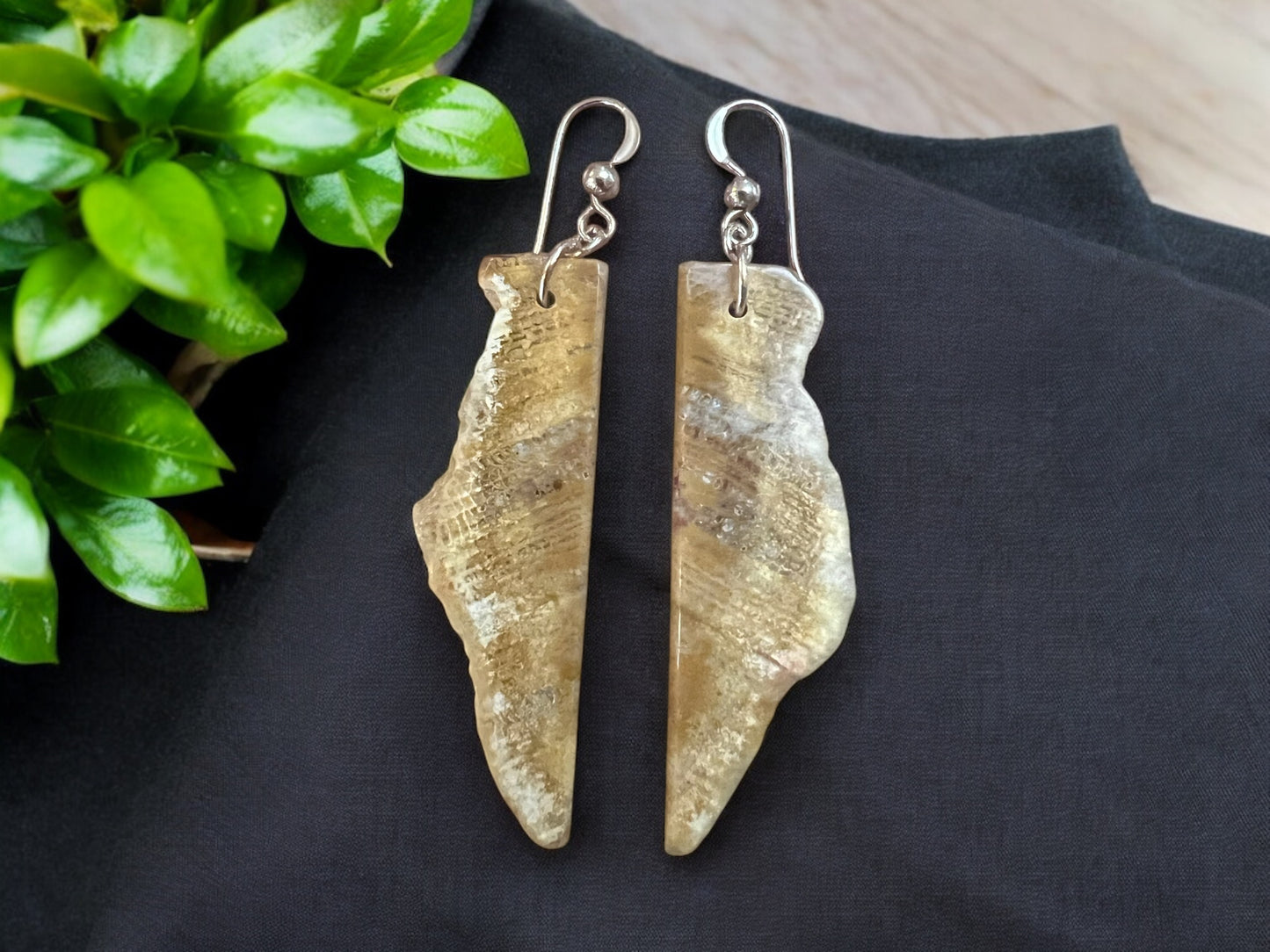 Fossil Coral Slice Earrings