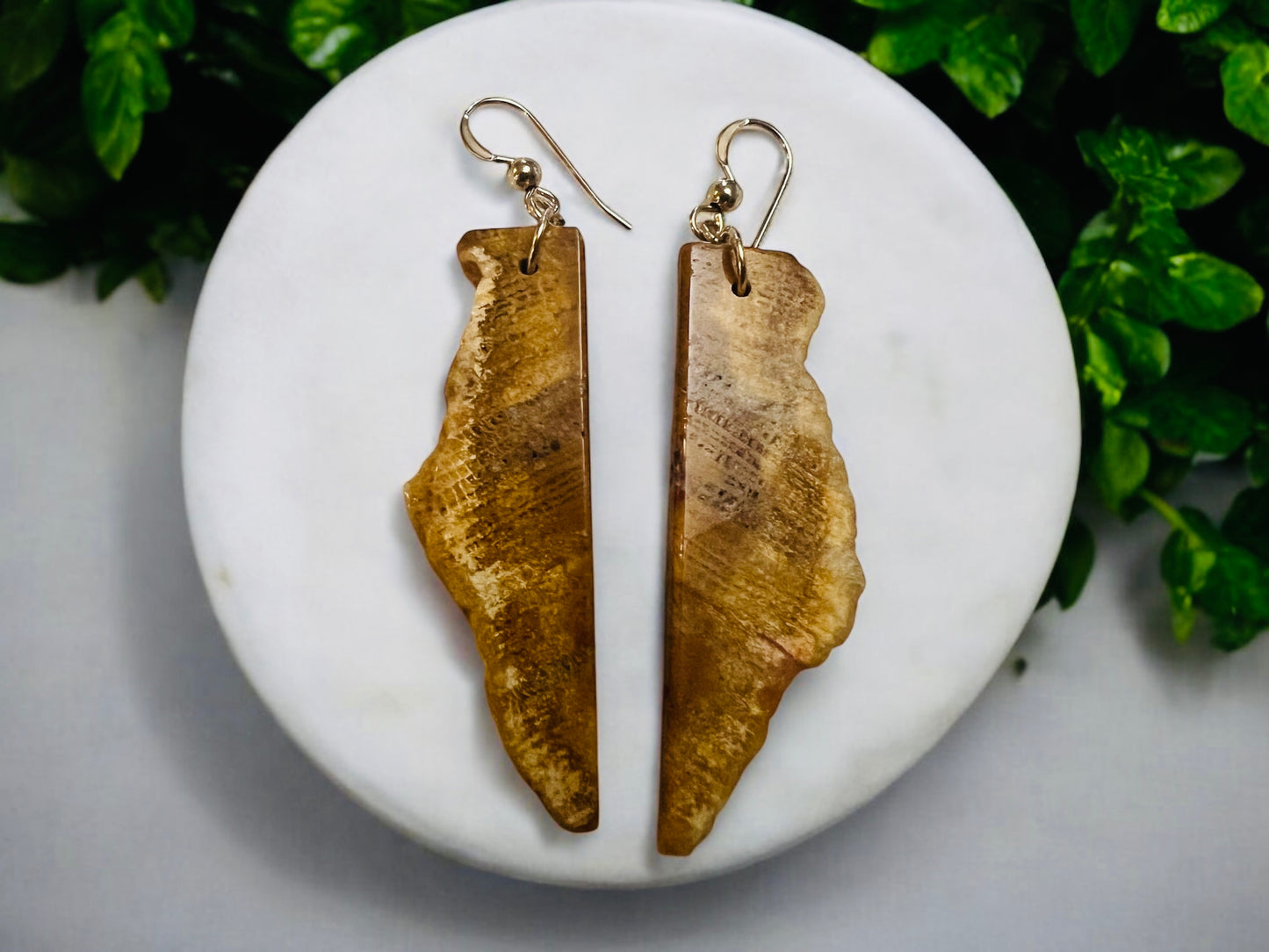 Fossil Coral Slice Earrings