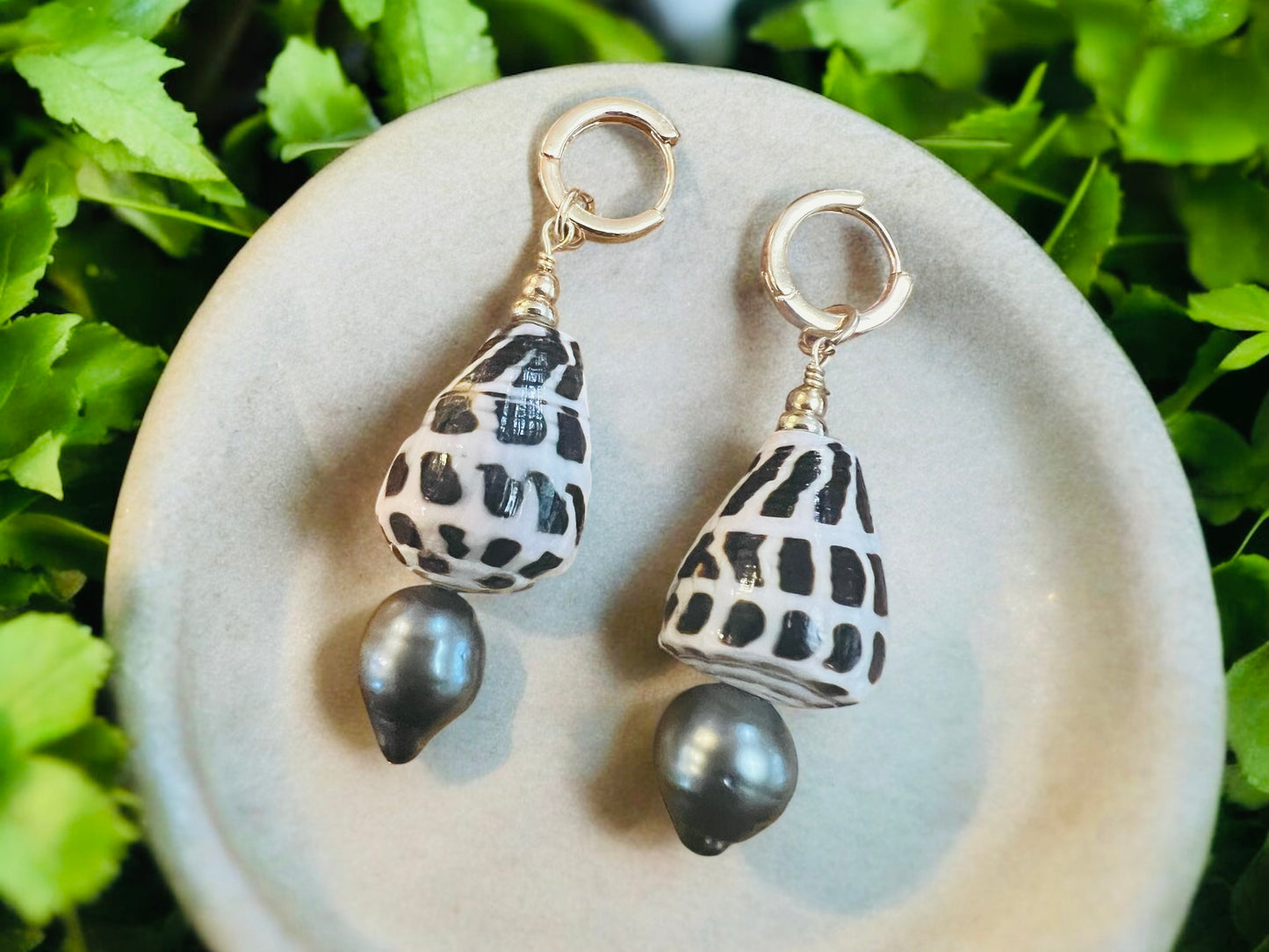 Hebrew Shell & Tahitian Huggie Earrings