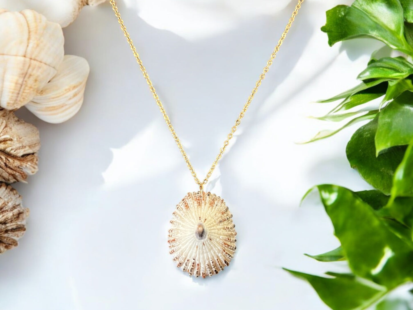 ‘Opihi Pendant Necklace