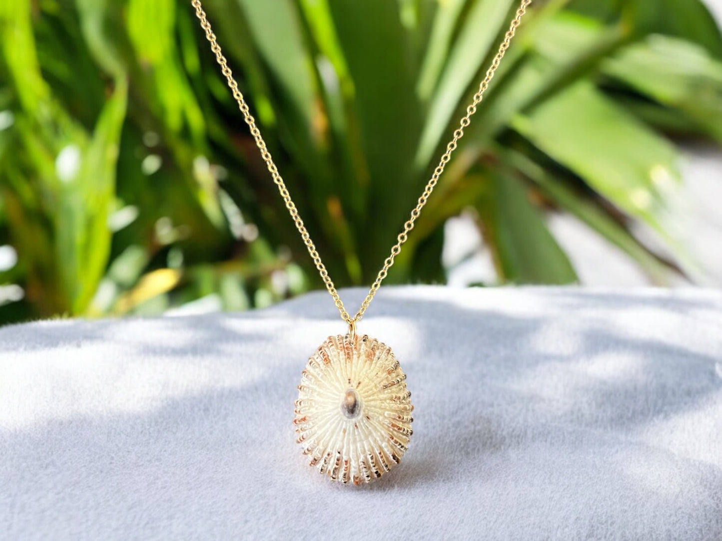 ‘Opihi Pendant Necklace