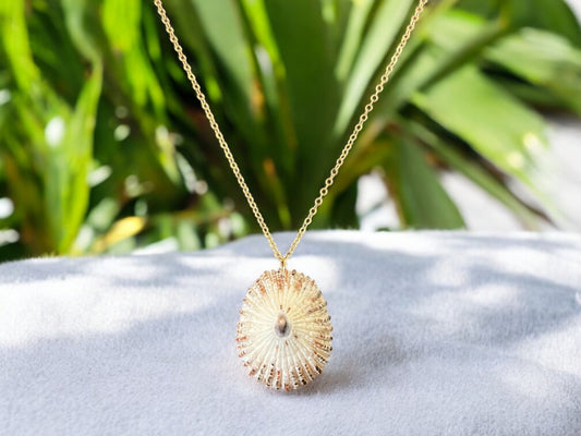 ‘Opihi Pendant Necklace