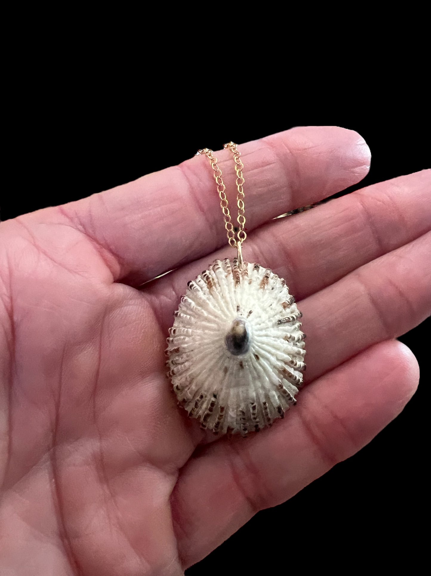 ‘Opihi Pendant Necklace