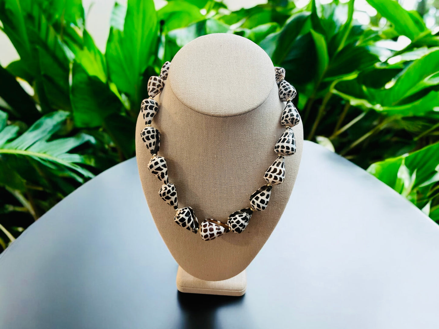 Hebrew Cone Shell & Puka Shell Necklace