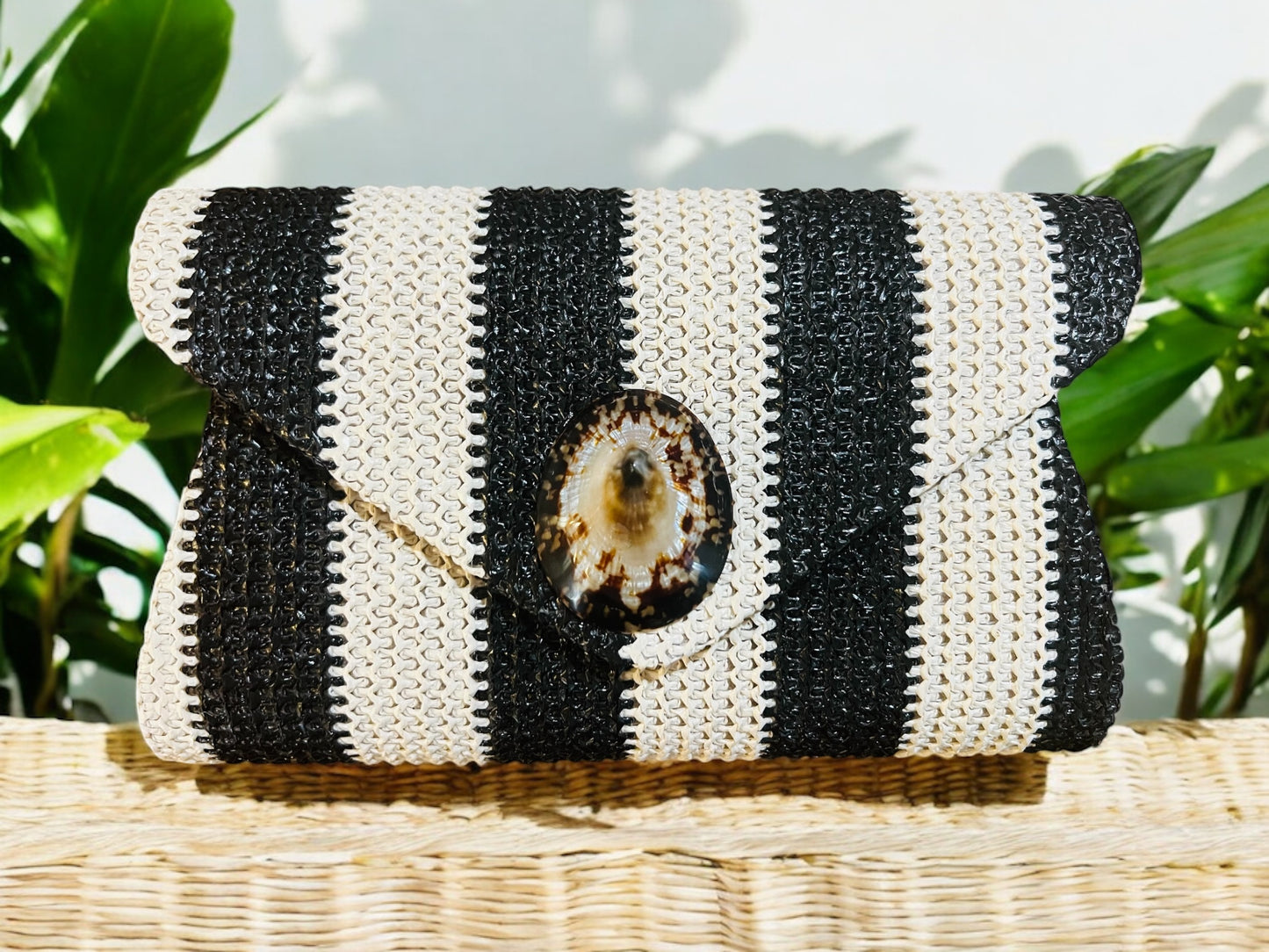Striped ‘Opihi Clutch