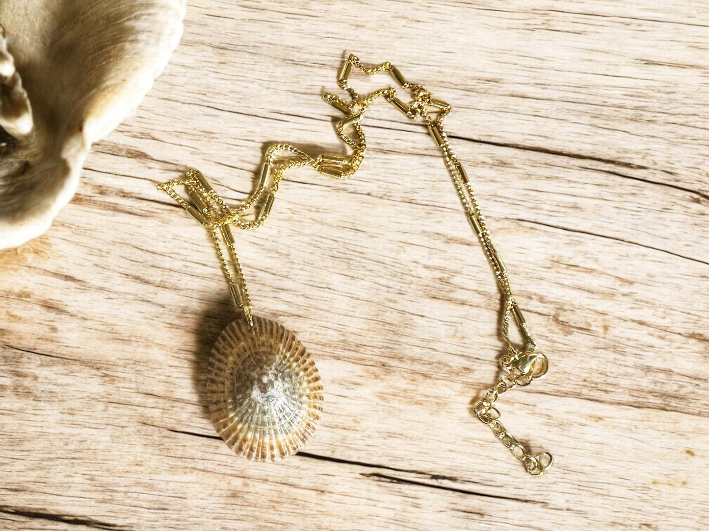 Autumn ‘Opihi Pendant Necklace