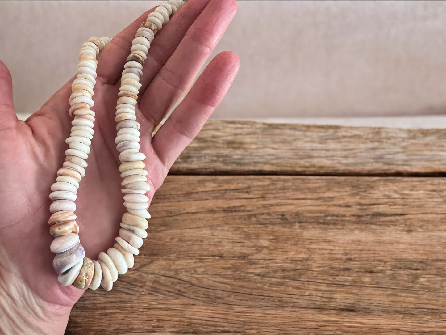 Westside Puka Choker Necklace